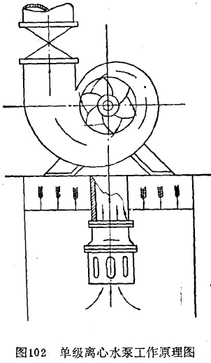 单级离心水泵工作原理图.gif